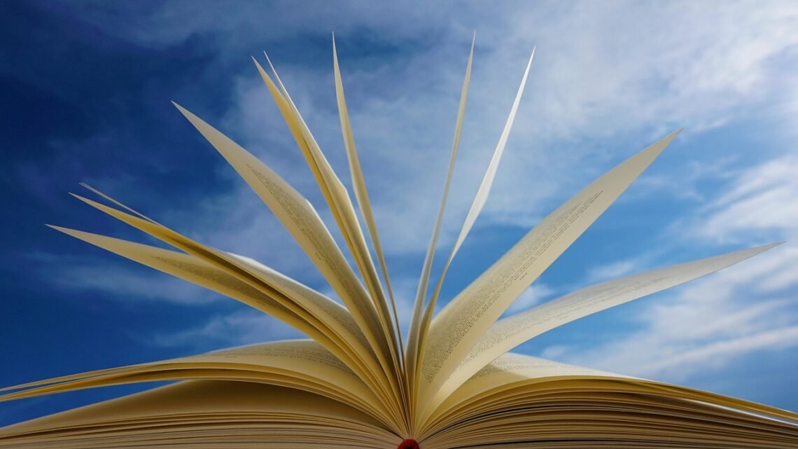 a book, pages, read, training, novel, literature, heaven, clouds, to learn, love, library, wisdom, knowledge, side, books, paper, reading, text, letters, nature, educated, clever, lend, preface, contents