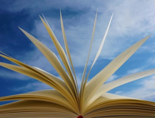 a book, pages, read, training, novel, literature, heaven, clouds, to learn, love, library, wisdom, knowledge, side, books, paper, reading, text, letters, nature, educated, clever, lend, preface, contents